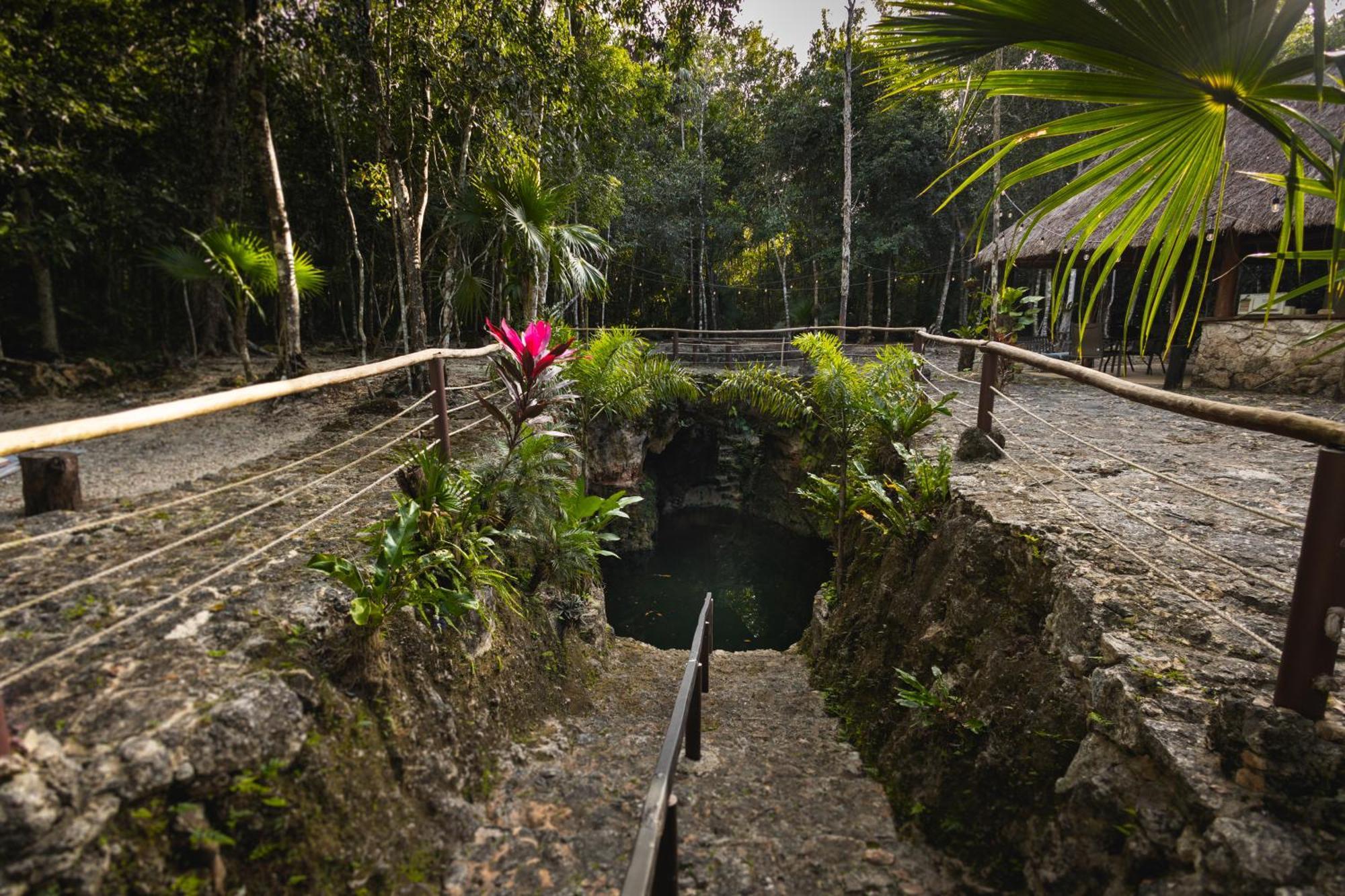 Cheel Lodge & Camping Puerto Morelos Buitenkant foto
