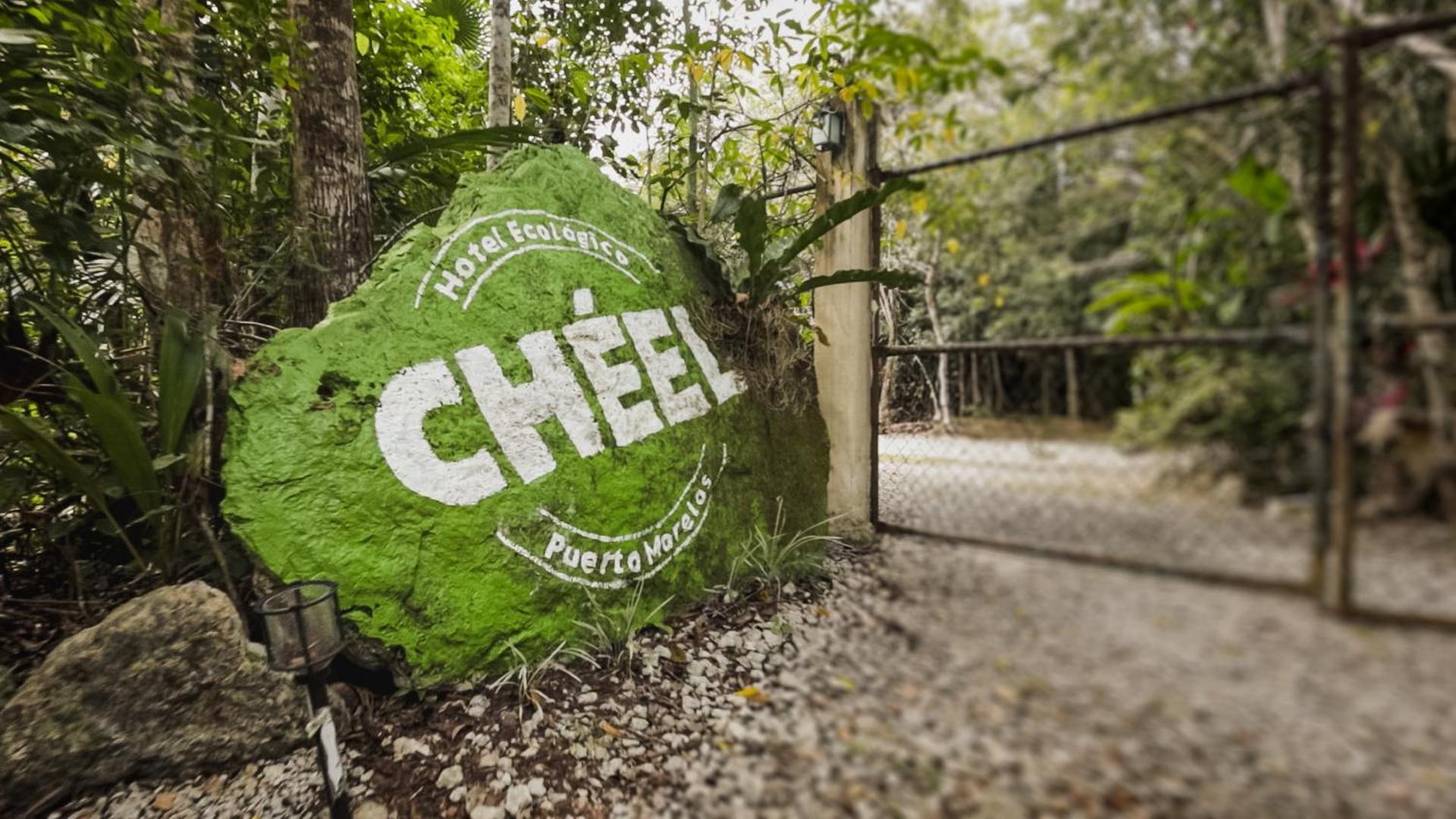 Cheel Lodge & Camping Puerto Morelos Buitenkant foto